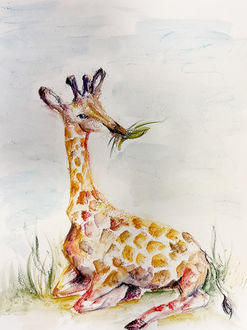 An inktense sketch of a giraffe created at Lavender Art Studios