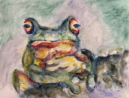 An inktense sketch of a tree frog created at Lavender Art Studios