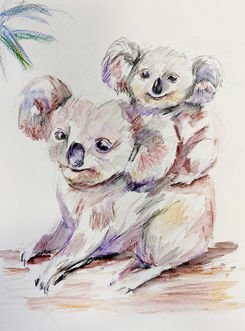 An inktense sketch of a koala and joey created at Lavender Art Studios