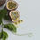 Thumbnail: Caesarstone - Pure White
