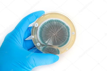 Microbiologia Clínica