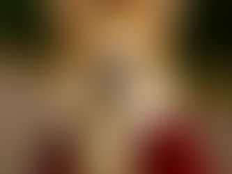 Corgi Pembroke de criadero de corgi en colombia