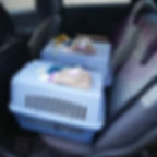 WhatsApp Image 2020-10-30 at 12.36