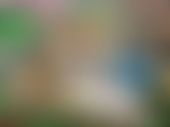 Cachorro Akita inu de criadero de akita inu colombia