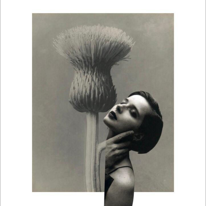 NEW[BLOSSFELD]TON #3 THE KISS