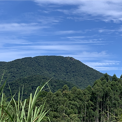 Pico da Pedra