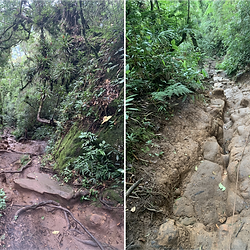 Pico da Pedra - Trilha