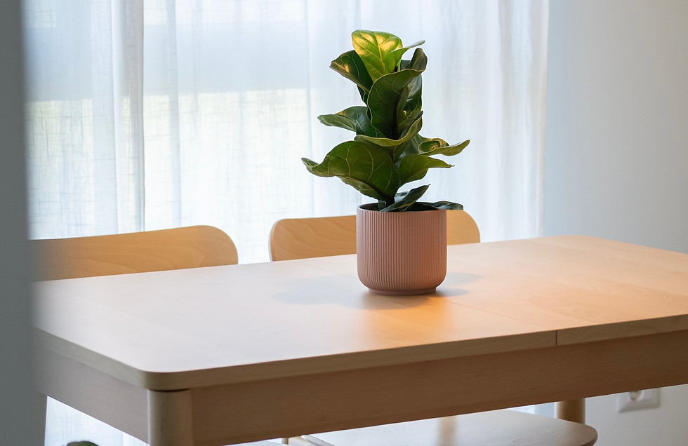 Storie Design Studio_MakiHome, soggiorno, pianta, tavolo, interior design