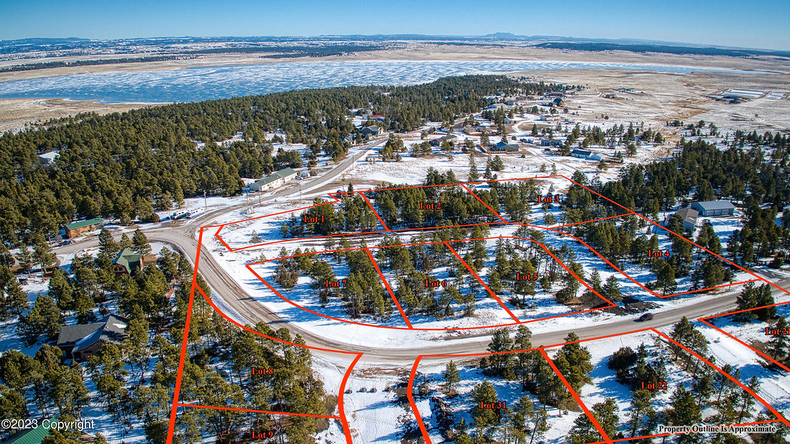 Drone aerial image of C Bar Estates subdivision displaying lot boundaries and lot numbers 1–31.