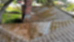 Leaves and debris scattered over residential roof in Seattle WA