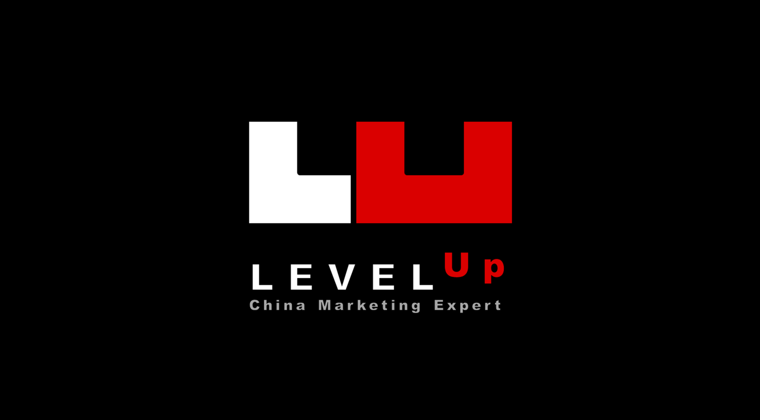 Level Up Holding Co., ltd