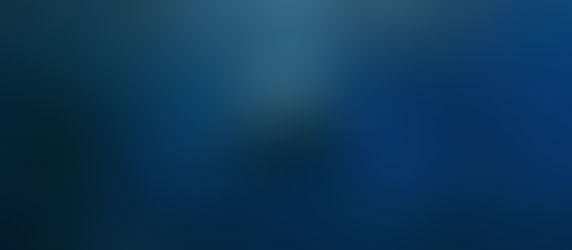 Tubarões, sardinhas e as manadas