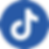 blue-tiktok-01.png