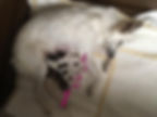 image5