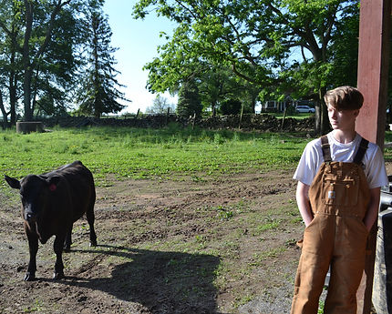 Adolescent Child taking care of the schools farm