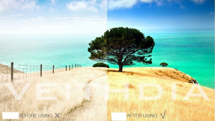 Миниатюра: Luckstar /Солнечные очки / Унисекс