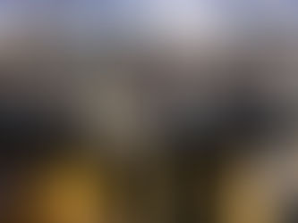 שיינער מעמד הכנסת ספר תורה לזכרו פון כ"ק גאב"ד קארלסבורג זצ"ל בעל עמק התשובה