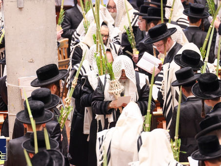 וּשְׂמַחְתֶּם לִפְנֵי ה' • חג הסוכות זמן שמחתנו אין סאטמארער הויף