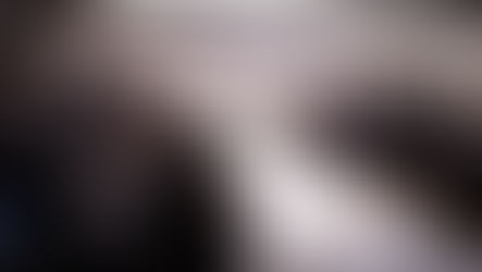 בארא פארק: יום טוב פורים בחצר הקודש ספינקא