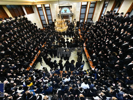 בהיכלא דמלכא: שמחת נישואין בחצר הקודש שבט הלוי וועט צום ערשטן מאל געפראוועט ווערן אינעם היכל הביהמ"ד