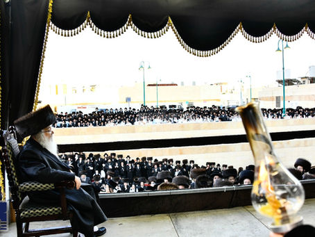 בחוצות בני ברק: געהויבענער שמחת נישואין בחצרות דאראג - מאור חיים