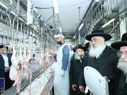 האד' מדושינסקיא רעכט אפ לענגערע באזוך אין "גלאט עוף" שעכט הויז שע"י העדה החרדית