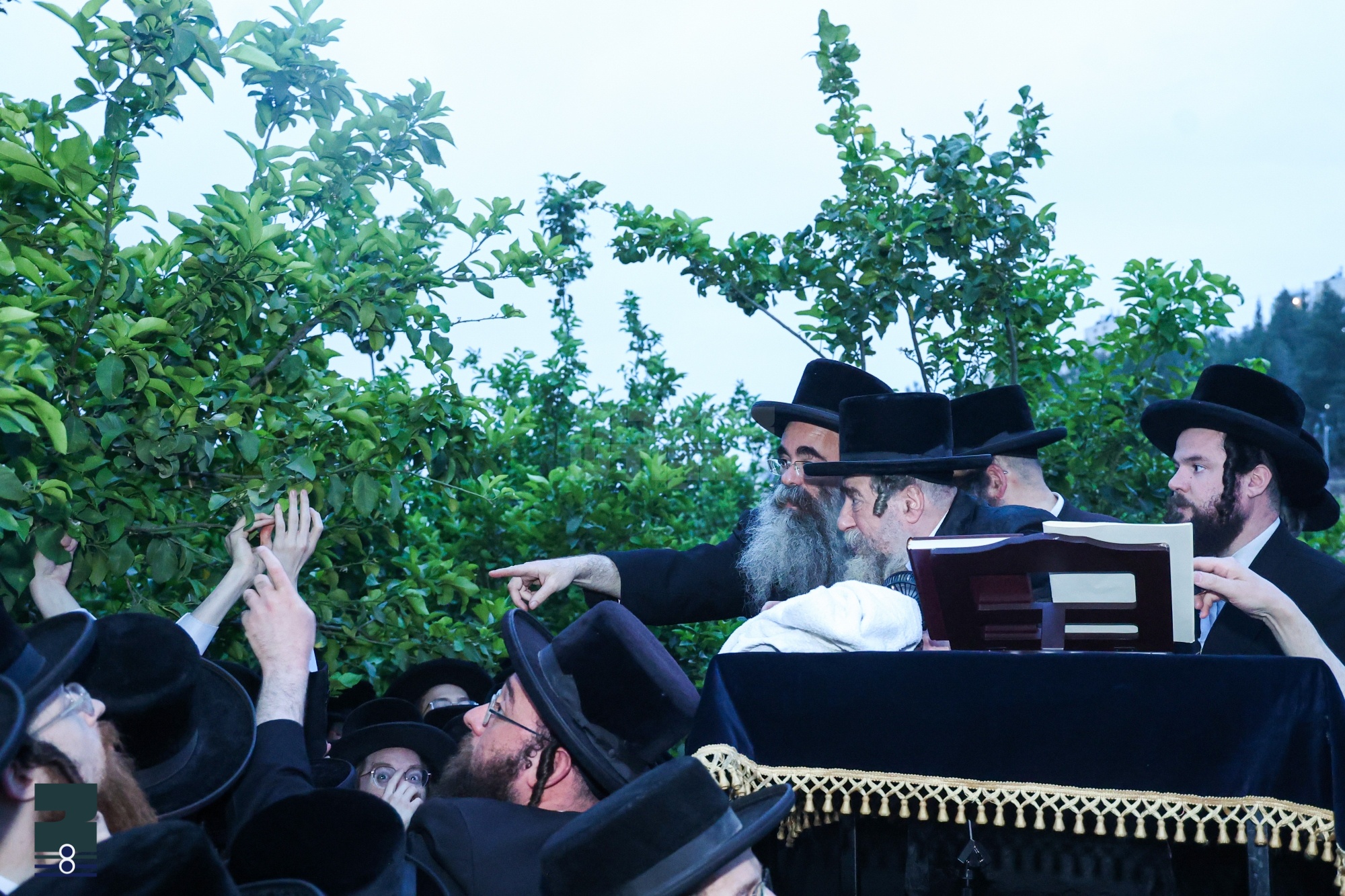 Blog Image