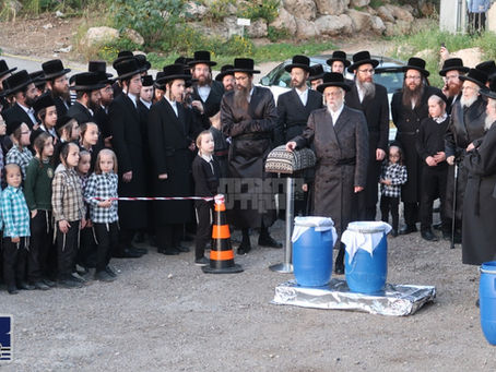 כַּאֲשֶׁר זָכִינוּ לְסַדֵּר אוֹתוֹ כֵּן נִזְכֶּה לַעֲשׂוֹתוֹ • חג הפסח בצל כ"ק אדמו"ר מסערט וויזניץ שליט"א