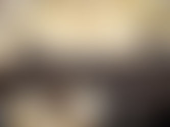 יהדות ארה"ק אין פייערדיגן ברען נאך כינוס אדיר אסיפת הצלה בראשות הגה"צ רבי צבי מאיר זילבערבערג שליט"א