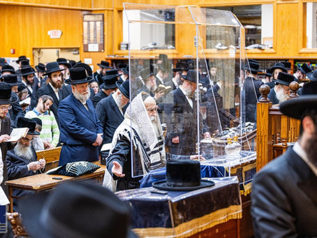 בארא פארק: סליחות נאכט בחצר הקודש בית חיים יהושע