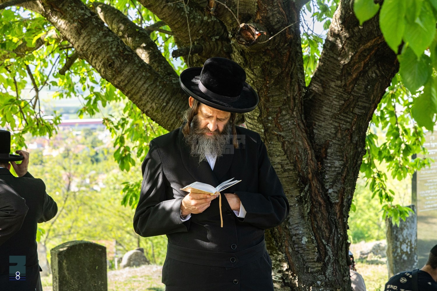 Blog Image