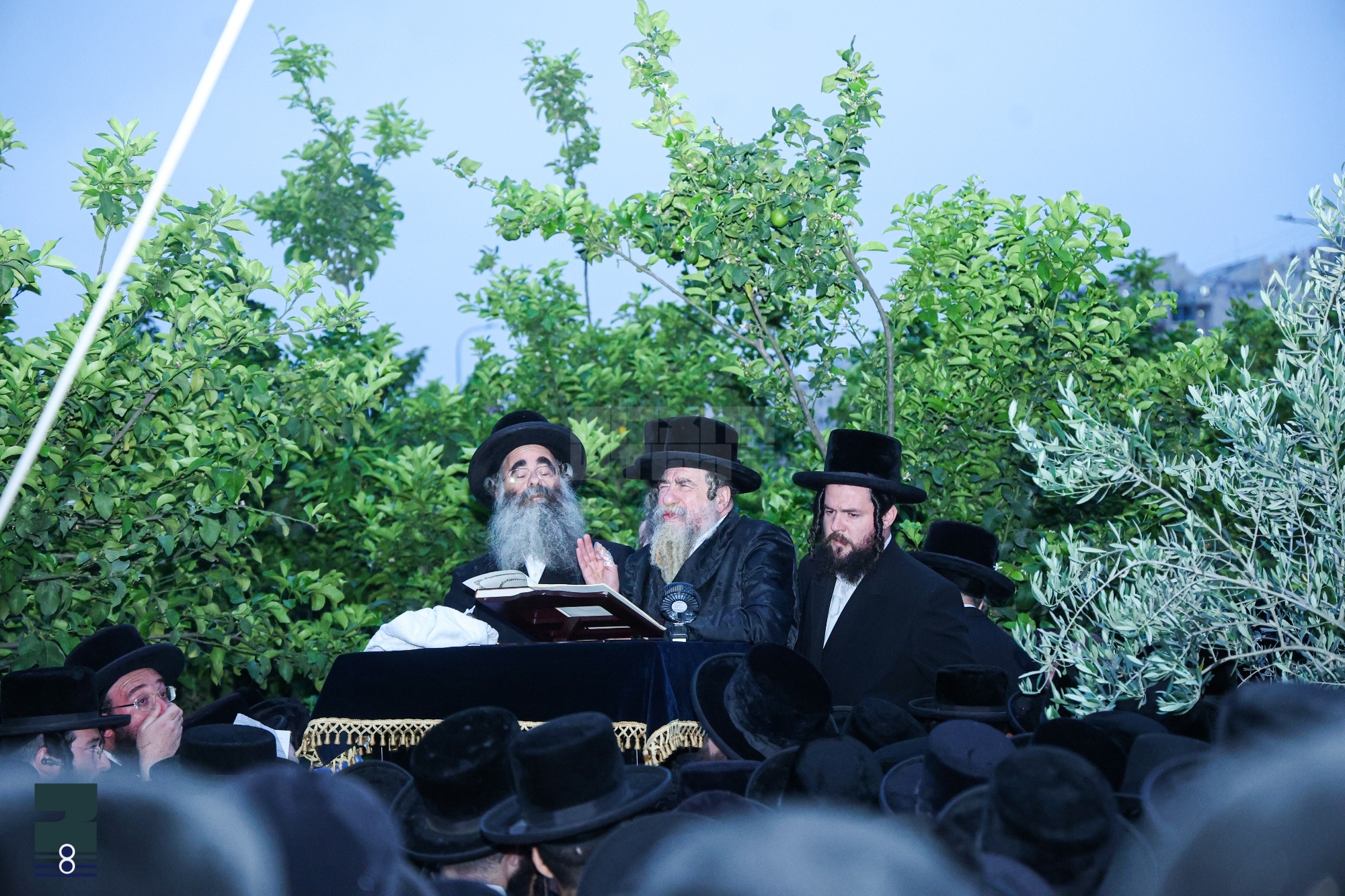 Blog Image