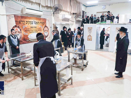 הא לחמא עניא: ערהאבענע מעמד אפיית מצות פאר תומכי קמחא דפסחא בחצר הקודש סערט וויזניץ