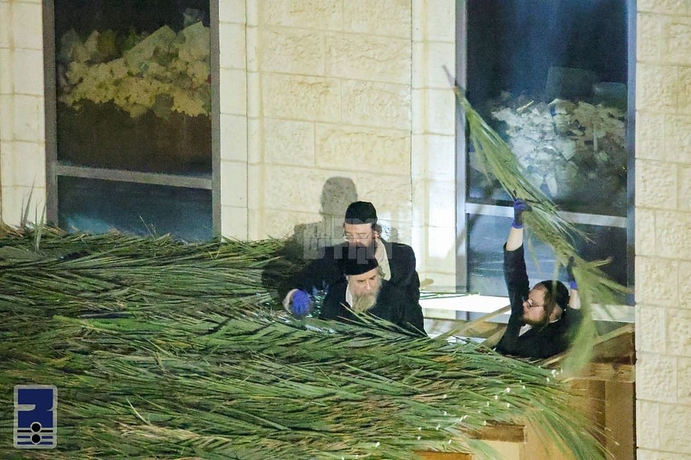 קרתא דשופריא: יום טוב סוכות אין ראחמיסטריווקא הויף
