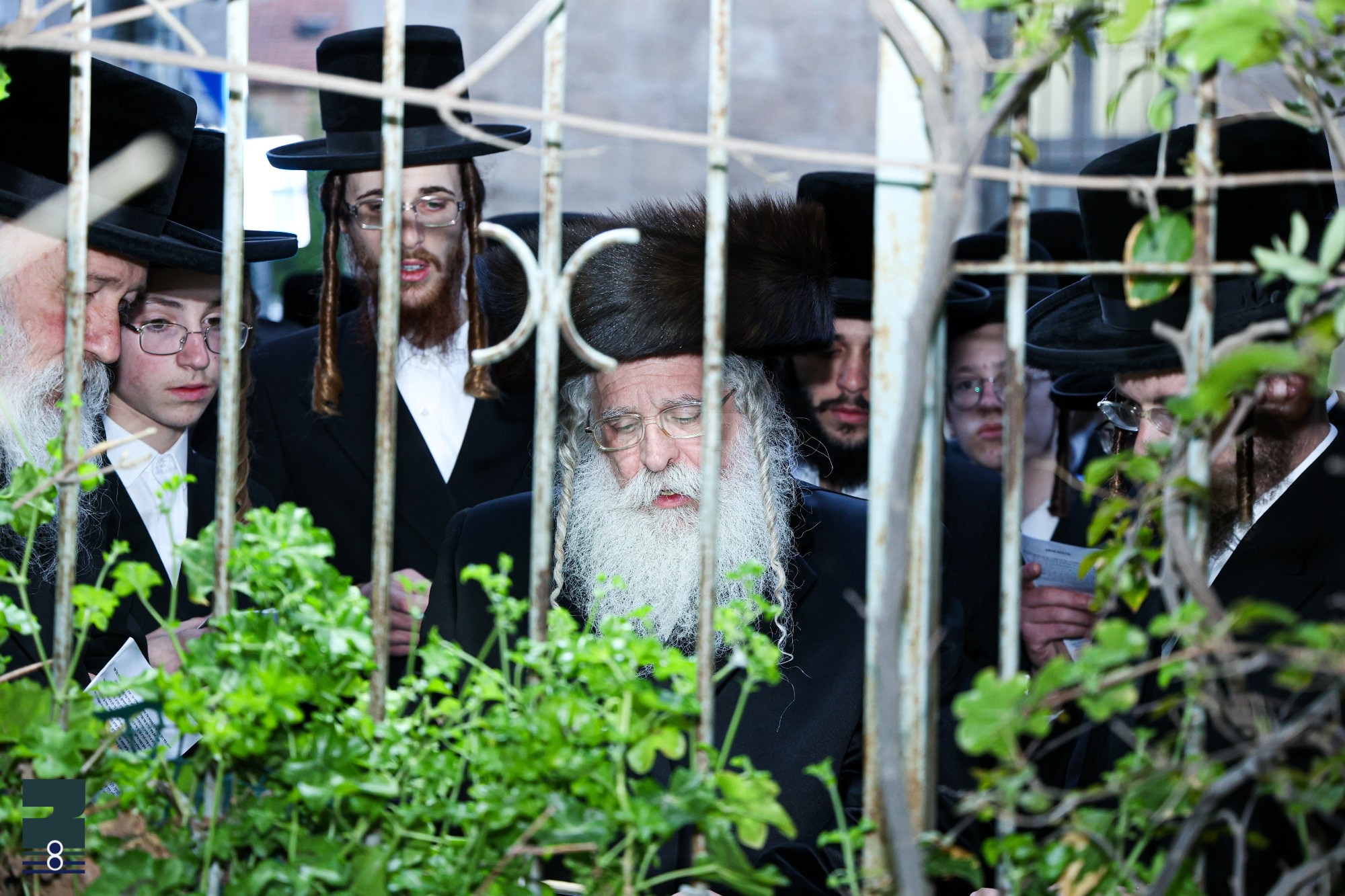 Blog Image