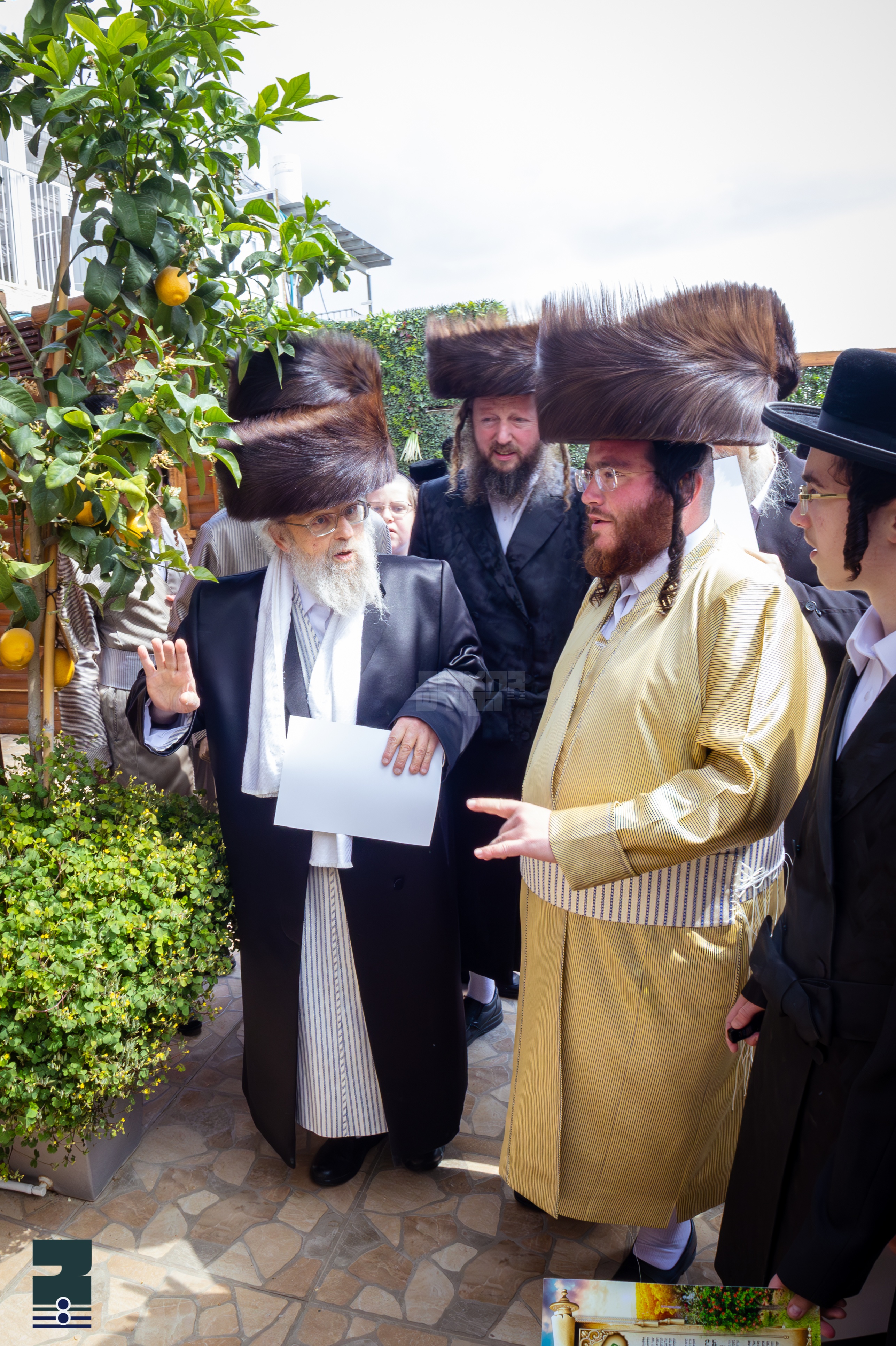 Blog Image