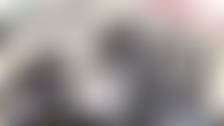 עלייה לציון פון מרן שר התורה הגר"ח קנייבסקי זצ"ל צום פערטע יארצייט ביום שושן פורים