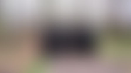 ובאו ציון: האד' מאלכסנדר נעמט אונטער מסע רוממה לעיר האבות אלכסנדר אינאיינעם מיט די בוני ביהמ"ד הגדול אלכסנדר