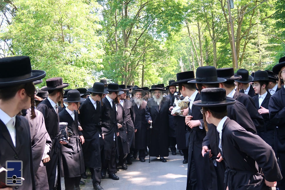 כ"ק אדמו"ר מסאטמאר שליט"א אויף אפרוה אין ניו העמפשיר | בילדער גאלעריע