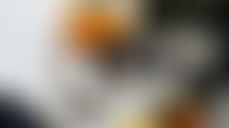 משתה היין ביי האד' מספינקא רמ"א | בילדער גאלעריע