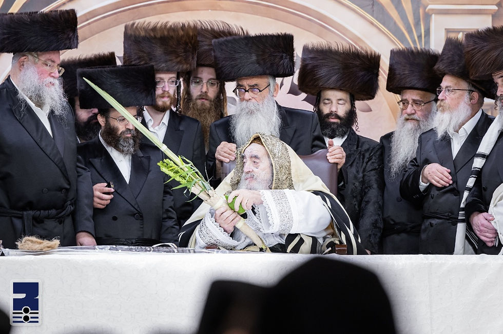 בַּסֻּכֹּת תֵּשְׁבוּ • יום טוב סוכות בחצר הקודש וויזניץ