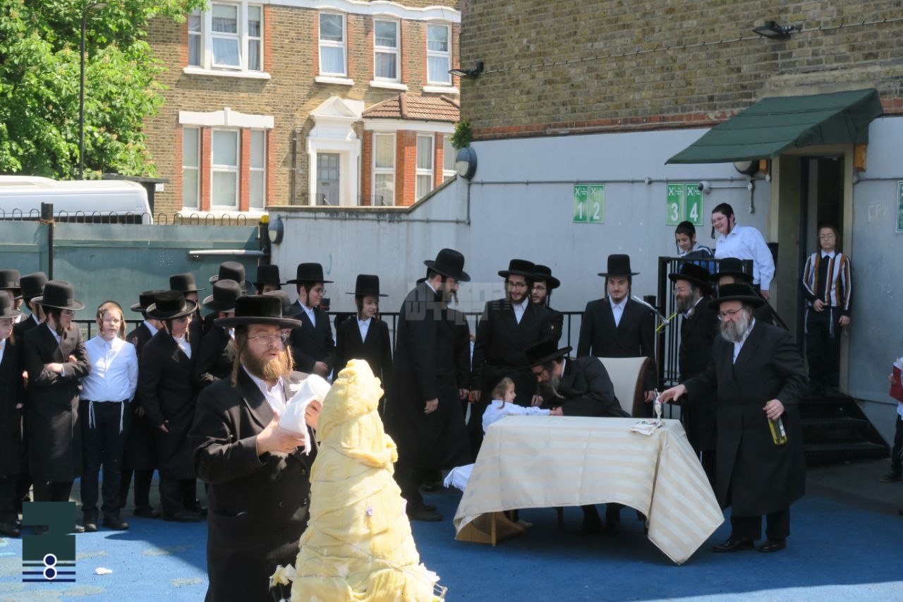 Blog Image