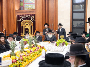 פֵּרוֹתֶיךָ מְתוּקִים • שולחן הטהור לכבוד חמשה עשר בשבט אין קראלער הויף