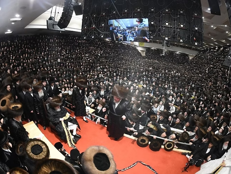 תעלוץ קריה: פייערליכע שמחת החתונה אפגעראכטן בחצר הקודש בעלזא | ברייטע דעקונג