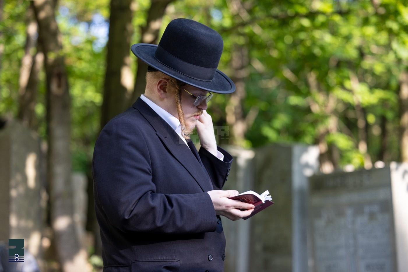 Blog Image