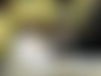 אכסניא של שמחה: האד' מקארלין סטאלין ווערט אויפגענומען בכבוד והערצה ביי חתונה בחצר תולדות אברהם יצחק בבית מדרשו