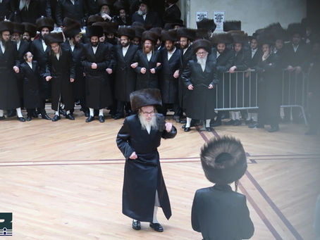 חסידי פאפא גרייטן זיך מיט התרגשות צום געהויבענעם שמחת החתונה פון נכד האד' מפאפא