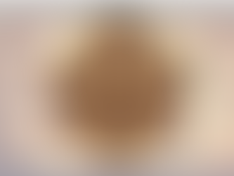 הנשיאים: מעמד רבתי לטובת כולל חיבת ירושלים פארצוקומען אין אנטווערפען בראשות האדמור"ים מבאבוב און פשעווארסק