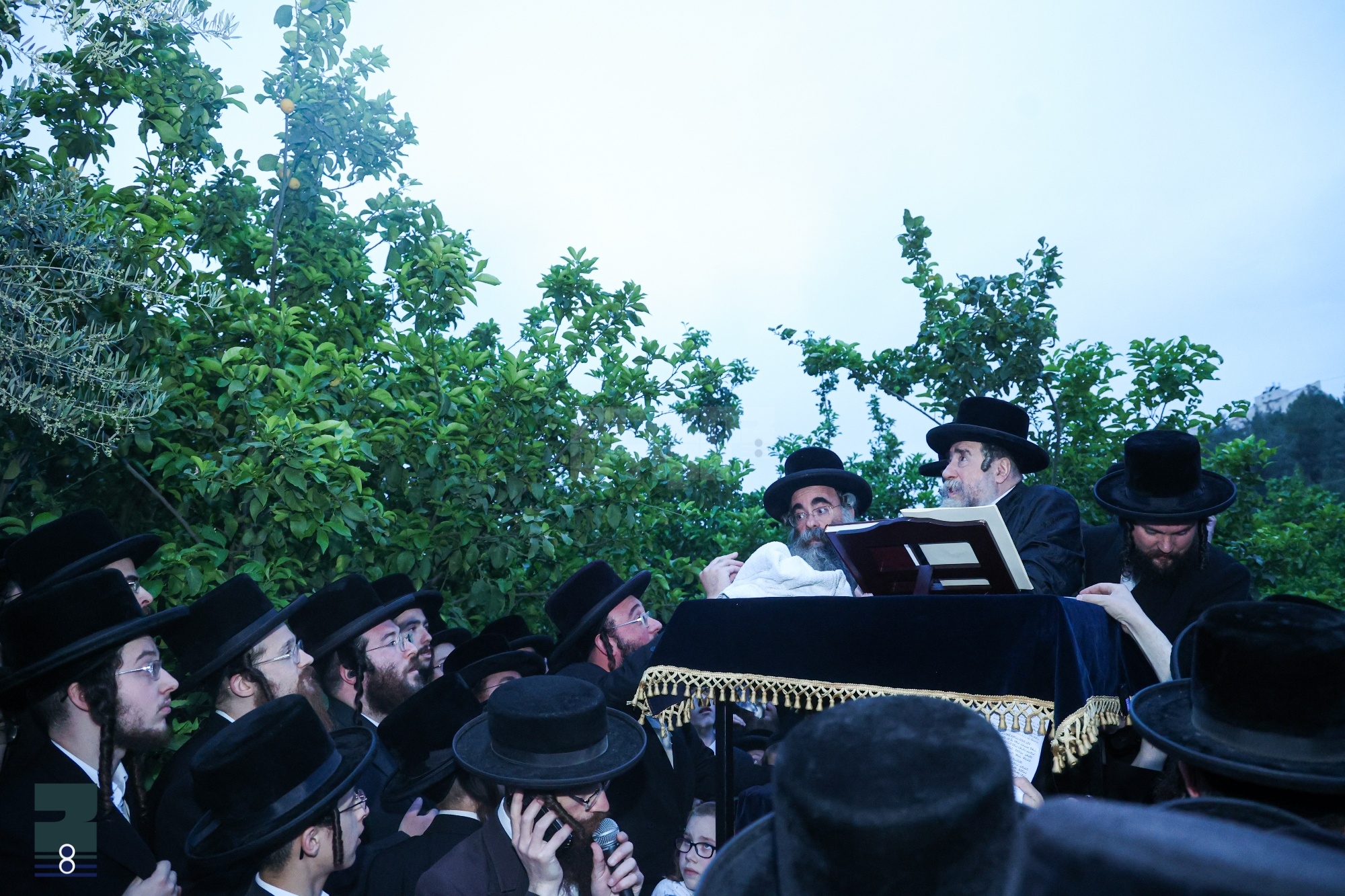 Blog Image