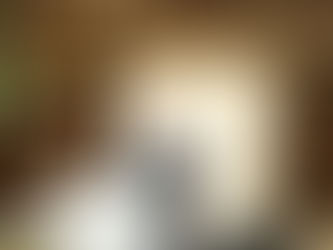 כ"ק אדמו"ר מוויען שליט"א וועט האלטן יערליכע "ז' אדר דרשה" ליל שישי תצוה